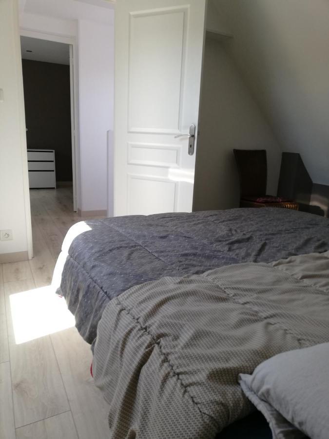 Kerguil-Hanna Agreable Et Familiale, 4 Pers, Piscine Privee Du 15 Juin A Mi-Septembre Moëlan-sur-Mer Exterior foto